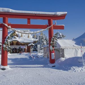 Promo Terbaru Paket Wisata Tour Jepang Hanya Disini